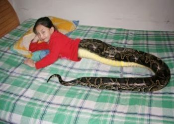 Snake Girl Attracts Crowd & Tourists to Thailand
