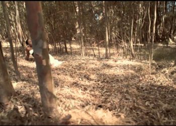 New Video: Chidinma – Kite