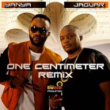 AUDIO+VIDEO: Jaguar Ft. Iyanya – One Centimeter (Remix) | DOWNLOAD