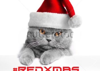Free Beat : @BabeOnTheBeat – #RedXmas