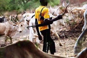 fulani_herdsman_II