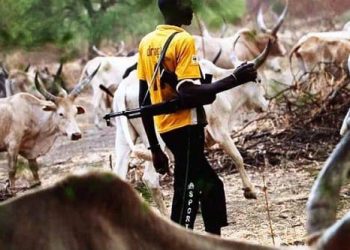 Herdsman Stabs Farmer To Death In Nasarawa