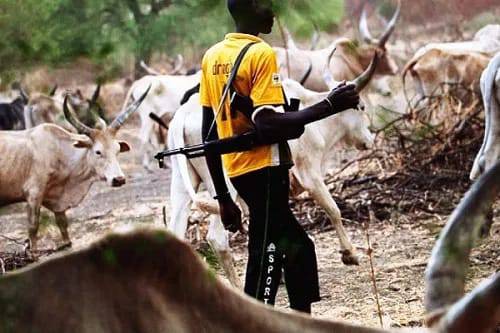 Herdsman Stabs Farmer To Death In Nasarawa