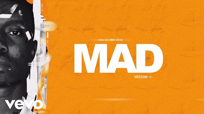 VIDEO: Vector – Mad