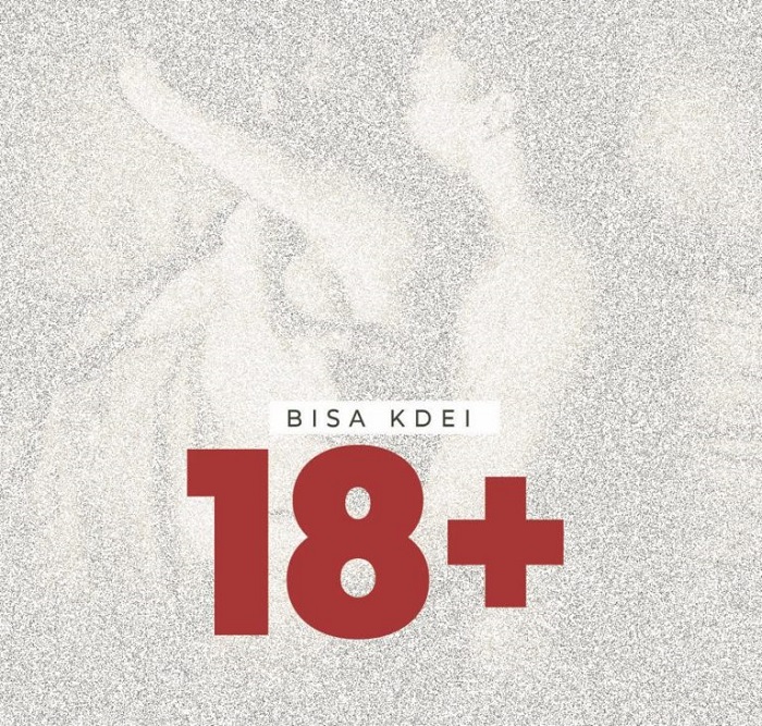 Bisa Kdei – 18+ (Yaa Yaa)
