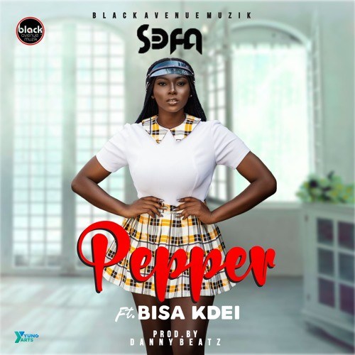 Sefa ft. Bisa Kdei – Pepper (Prod. Danny Beatz)