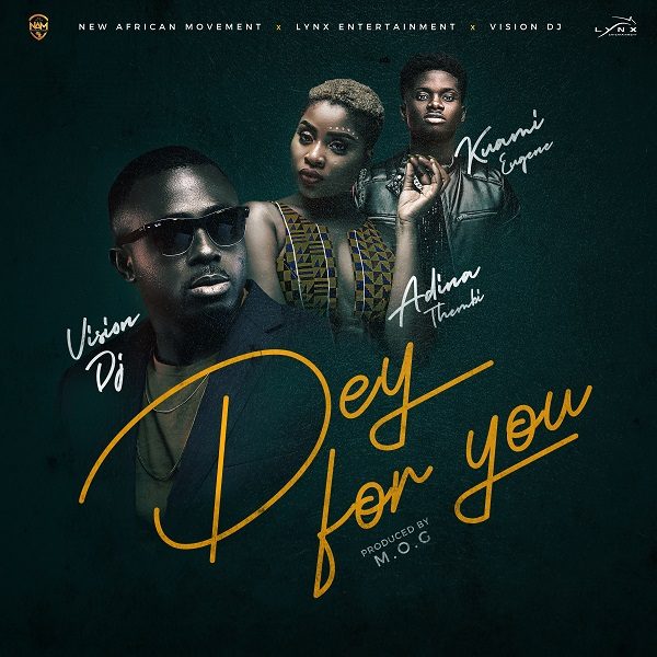 Vision DJ Dey For You