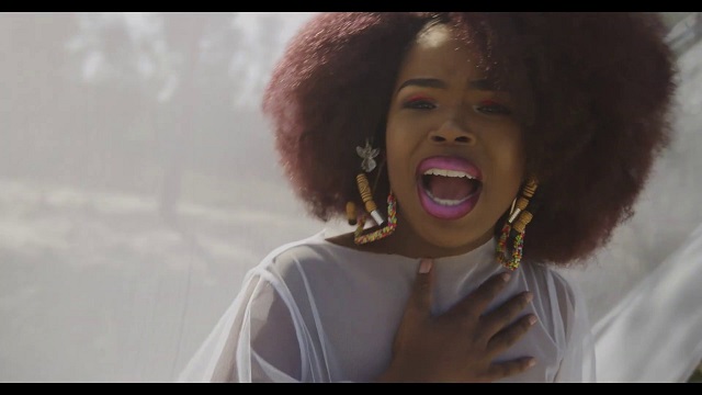 Yanga Promised Land video