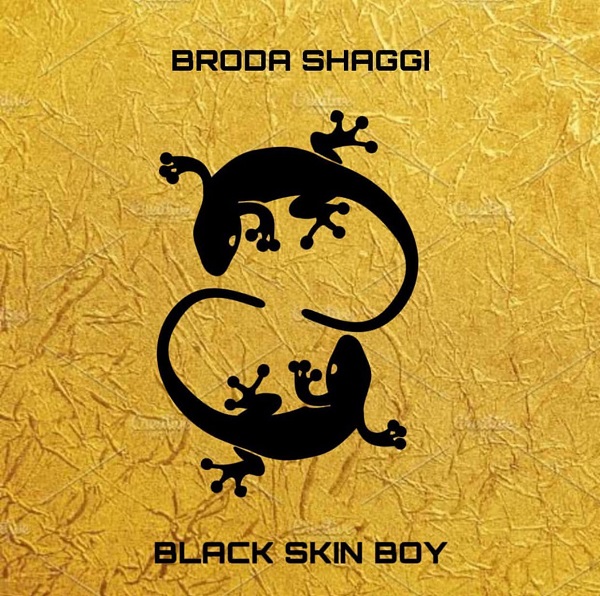 broda shaggi black skin boy