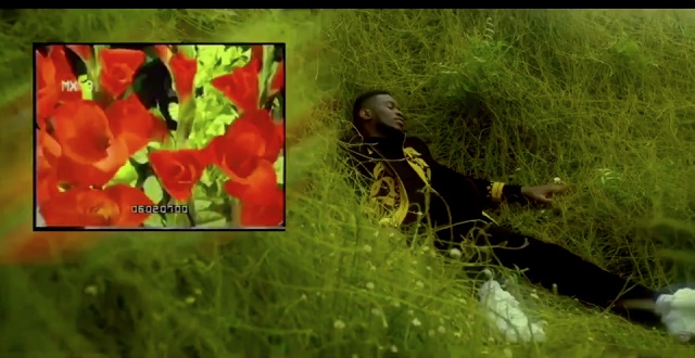 nonso amadi never video