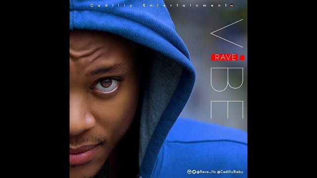 rave vibe video