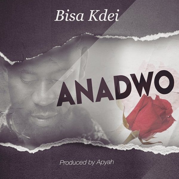 Bisa Kdei Anadwo