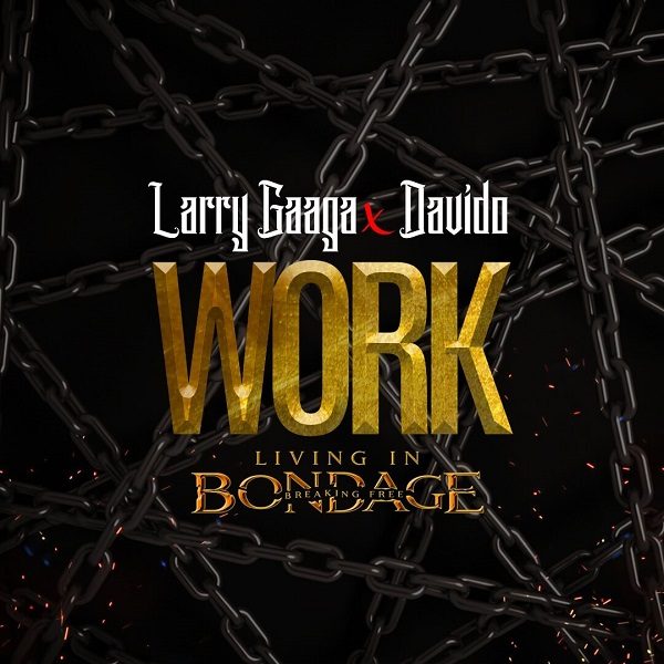Larry Gaaga Work