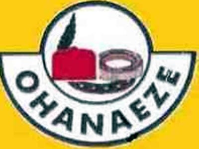 Stop Harassing Industrialists From The East: Ohaneze Ndigbo Warns FG