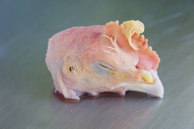 Man Slams Girl For Cooking His Stew With Chicken Head