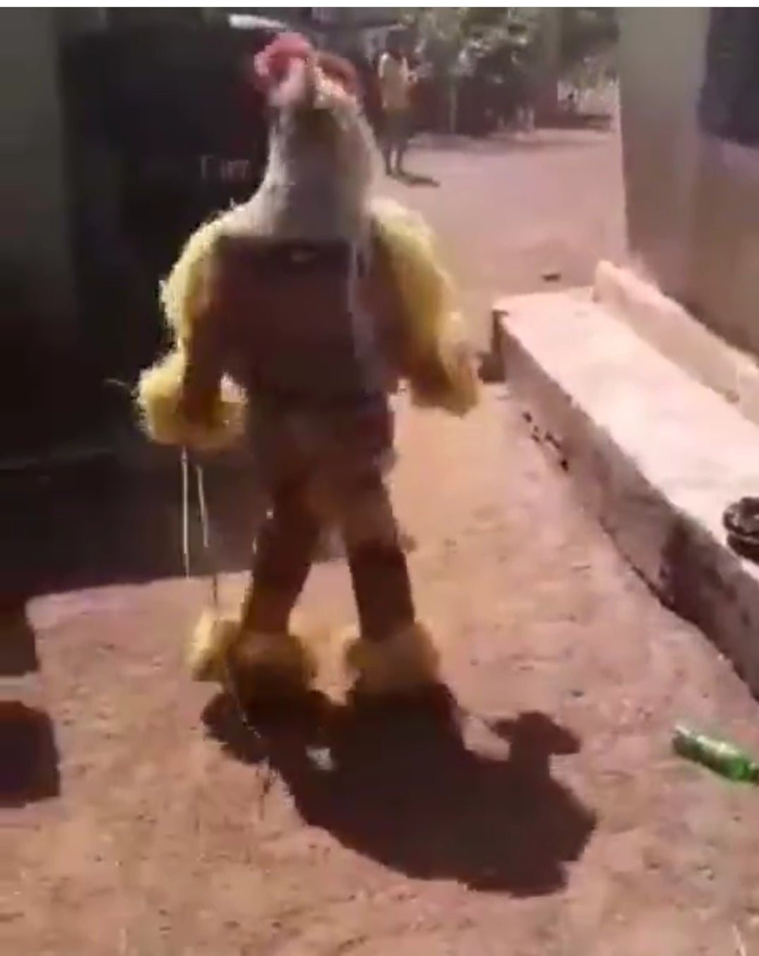 Masquerade Shows Off ‘Zanku’ Skills (Video)