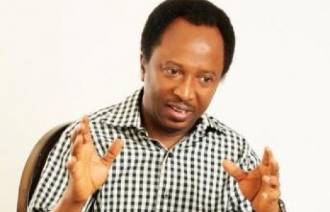 APC Taught PDP How To Be A Terrible Opposition: Shehu Sani