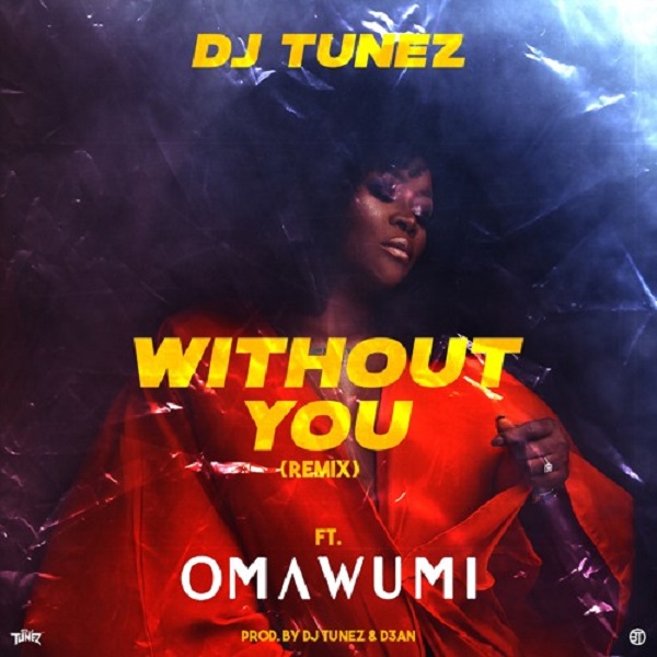 dj tunez without you remix