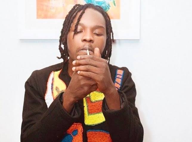 Naira Marley shares photos of her twin girls Aisha and Samiat