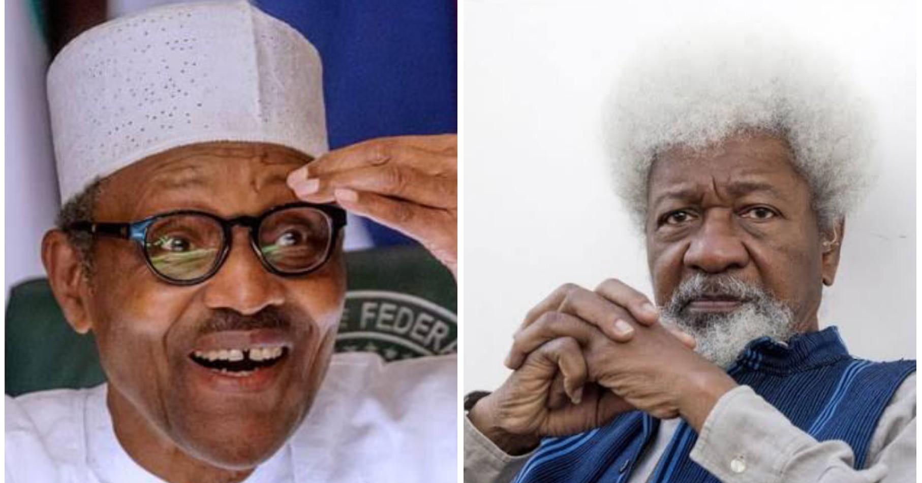 Presidency mocks Soyinka over comments on lockdown, says he is fiction writer not medical professor