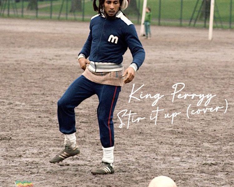 King Perryy Stir It Up