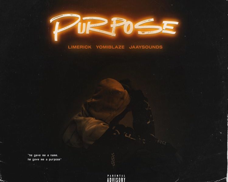 limerick purpose