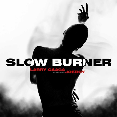 Larry Gaaga Slow Burner ft Joeboy mp3 download