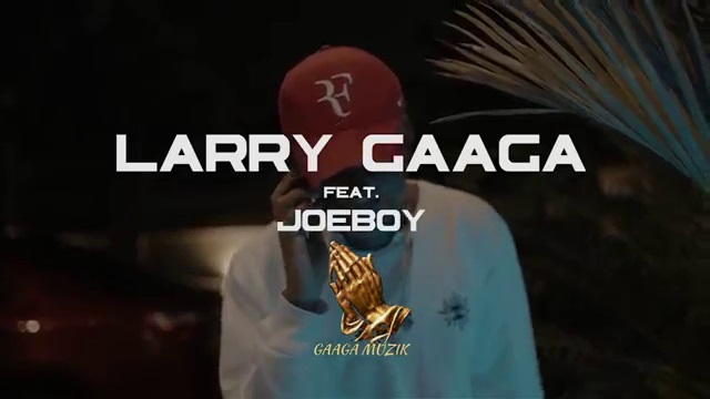 Larry Gaaga Slow Burner ft Joeboy video download