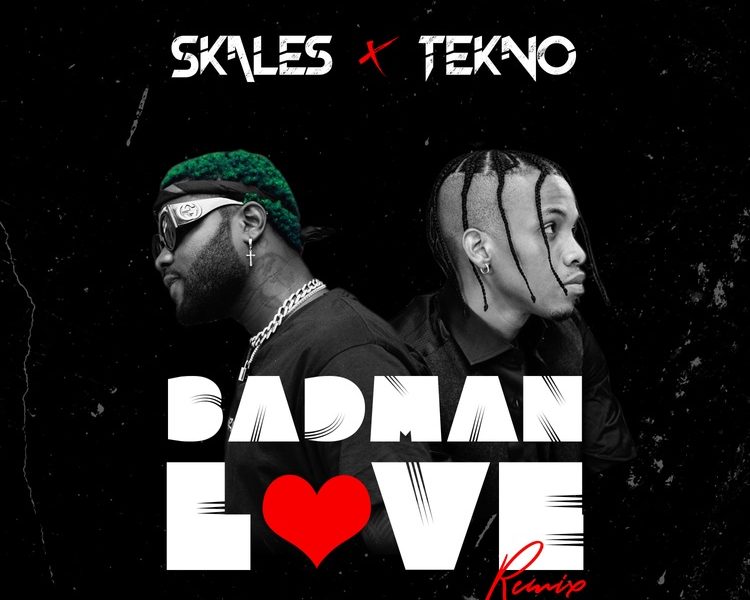 Skales Badman Love ft Tekno