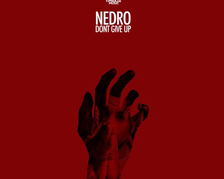 Nedro Dont Give Up mp3 download