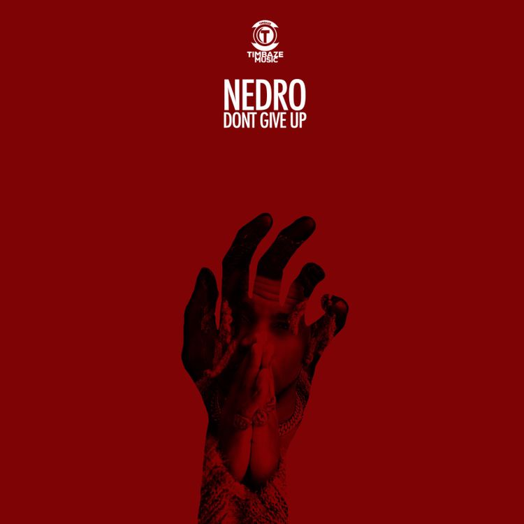 Nedro Dont Give Up mp3 download