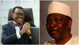 AfDB president, Adesina reacts to UK lawmaker’s claim that Gowon looted half of CBN