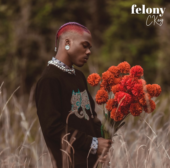 Ckay Felony