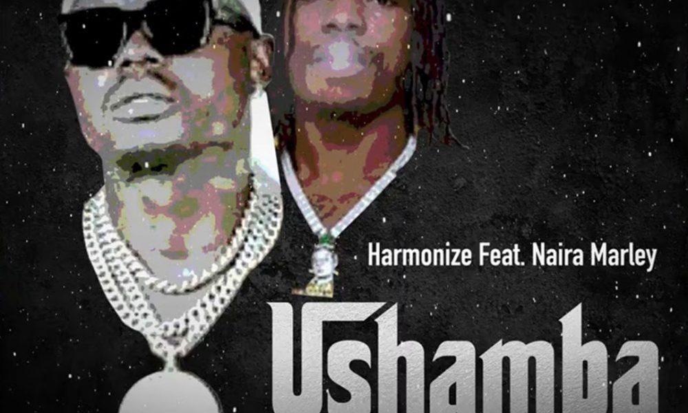 Harmonize Ushamba Remix ft Naira Marley mp3 download