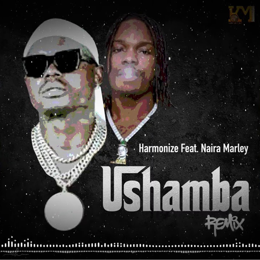 Harmonize Ushamba Remix ft Naira Marley mp3 download