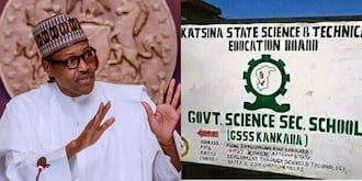 Kankara students abduction: Northern group threatens to take protest to Daura