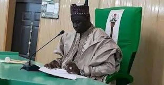 Kano state House of Assembly speaker and majority leader resign