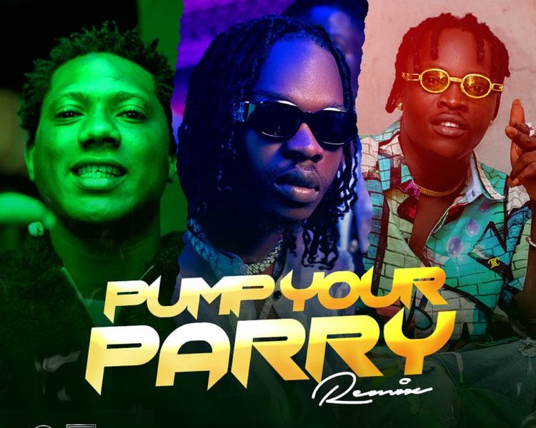 Abramsoul Pump Your Parry Remix ft Naira Marley