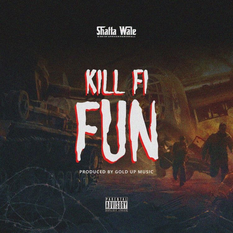 Shatta Wale Kill Fi Fun