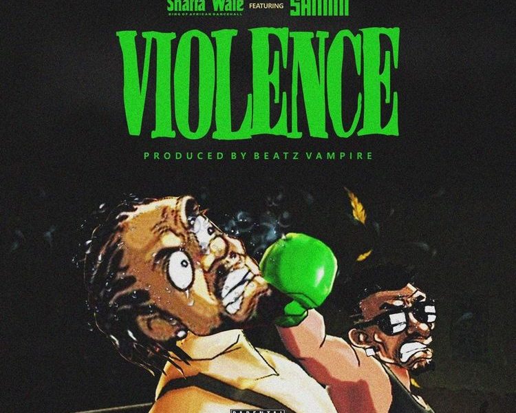 Shatta Wale Violence