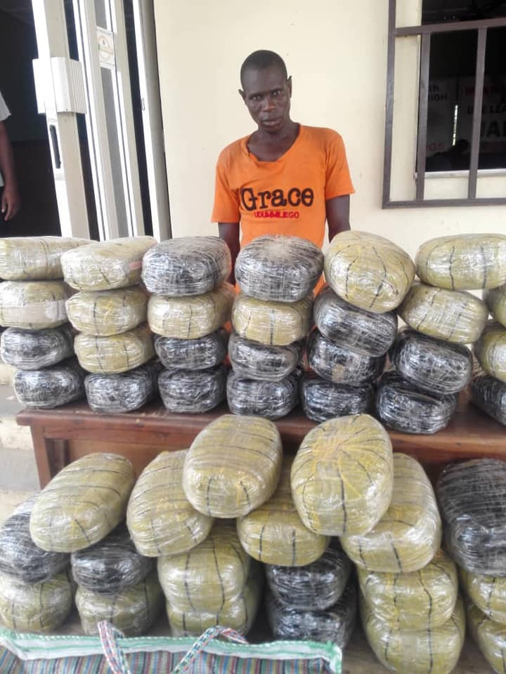 Wanted drug baron nabbed in Nasarawa as NDLEA intercepts 1,330kg skunk in Edo