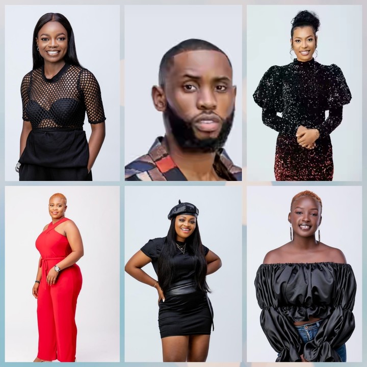Bbnaija: Arin, Emmanuel, Nini, Princess, Tega And Saskay Are Up For Eviction