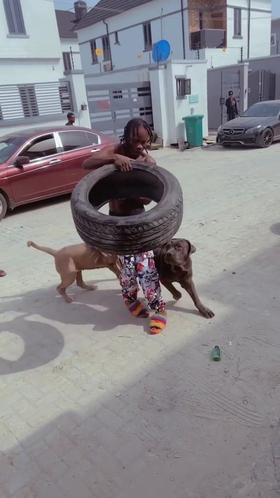 Naira Marley Plays With His Dogs On Christmas Day (Video)